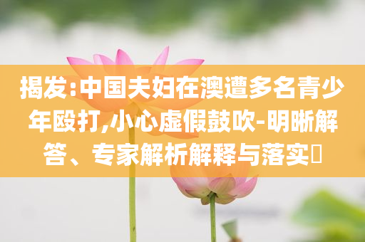 揭發(fā):中國(guó)夫婦在澳遭多名青少年毆打,小心虛假鼓吹-明晰解答、專家解析解釋與落實(shí)?