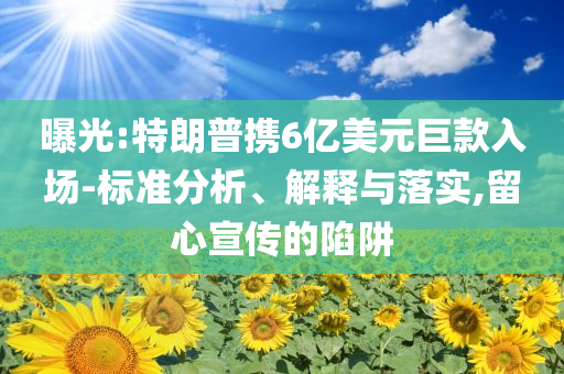 曝光:特朗普攜6億美元巨款入場-標準分析、解釋與落實,留心宣傳的陷阱