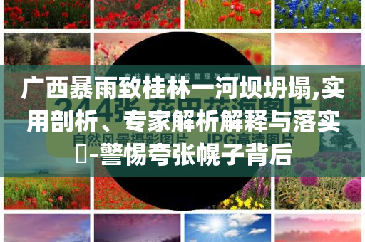 廣西暴雨致桂林一河壩坍塌,實(shí)用剖析、專家解析解釋與落實(shí)?-警惕夸張幌子背后