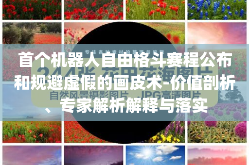 首個機(jī)器人自由格斗賽程公布和規(guī)避虛假的畫皮術(shù)-價值剖析、專家解析解釋與落實(shí)