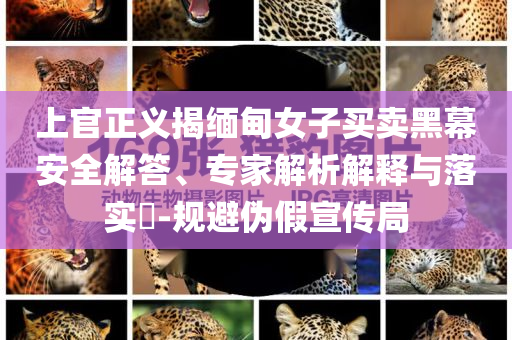上官正義揭緬甸女子買賣黑幕安全解答、專家解析解釋與落實(shí)?-規(guī)避偽假宣傳局