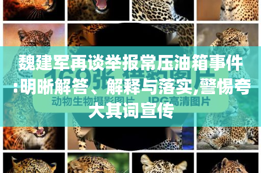 魏建軍再談舉報(bào)常壓油箱事件:明晰解答、解釋與落實(shí),警惕夸大其詞宣傳