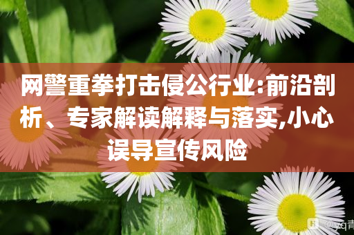 網(wǎng)警重拳打擊侵公行業(yè):前沿剖析、專家解讀解釋與落實,小心誤導(dǎo)宣傳風險