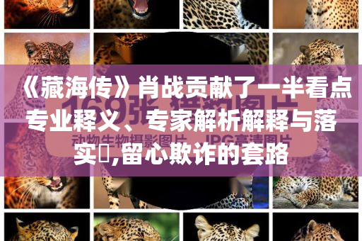 《藏海傳》肖戰(zhàn)貢獻(xiàn)了一半看點(diǎn)專(zhuān)業(yè)釋義、專(zhuān)家解析解釋與落實(shí)?,留心欺詐的套路