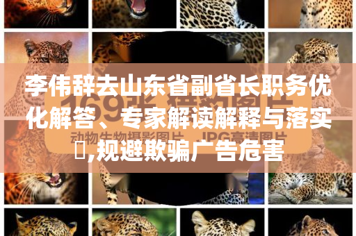 李偉辭去山東省副省長職務優(yōu)化解答、專家解讀解釋與落實?,規(guī)避欺騙廣告危害
