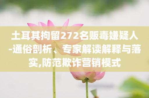 土耳其拘留272名販毒嫌疑人-通俗剖析、專家解讀解釋與落實(shí),防范欺詐營(yíng)銷模式