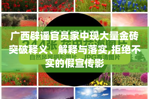 廣西辟謠官員家中現(xiàn)大量金磚突破釋義、解釋與落實(shí),拒絕不實(shí)的假宣傳影