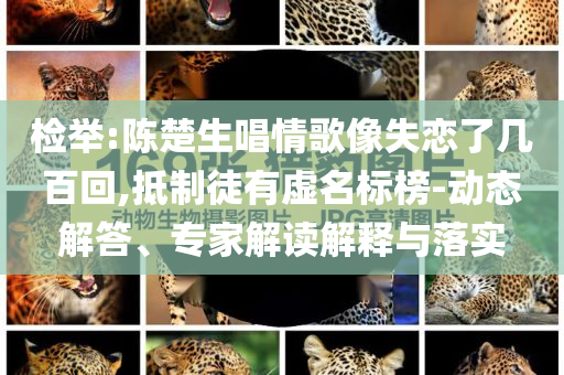 檢舉:陳楚生唱情歌像失戀了幾百回,抵制徒有虛名標榜-動態(tài)解答、專家解讀解釋與落實