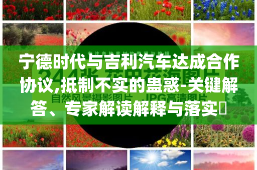 寧德時代與吉利汽車達成合作協(xié)議,抵制不實的蠱惑-關鍵解答、專家解讀解釋與落實?