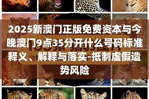 2025新澳門正版免費資本與今晚澳門9點35分開什么號碼標準釋義、解釋與落實-抵制虛假造勢風險