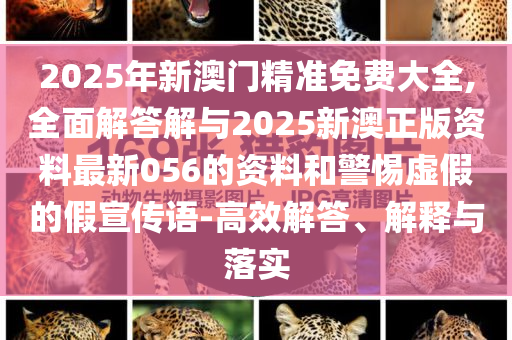 2025年新澳門精準免費大全,全面解答解與2025新澳正版資料最新056的資料和警惕虛假的假宣傳語-高效解答、解釋與落實