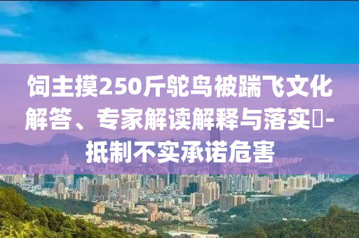 飼主摸250斤鴕鳥(niǎo)被踹飛文化解答、專(zhuān)家解讀解釋與落實(shí)?-抵制不實(shí)承諾危害
