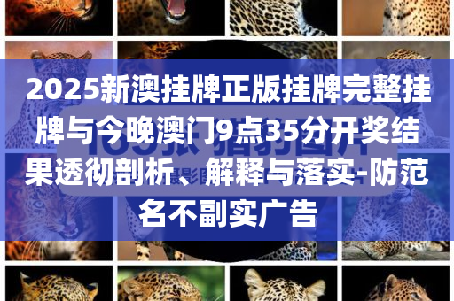 2025新澳掛牌正版掛牌完整掛牌與今晚澳門9點(diǎn)35分開(kāi)獎(jiǎng)結(jié)果透徹剖析、解釋與落實(shí)-防范名不副實(shí)廣告