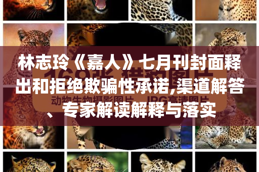 林志玲《嘉人》七月刊封面釋出和拒絕欺騙性承諾,渠道解答、專家解讀解釋與落實(shí)