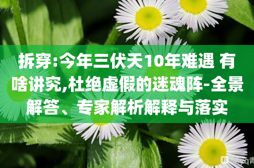 拆穿:今年三伏天10年難遇 有啥講究,杜絕虛假的迷魂陣-全景解答、專家解析解釋與落實