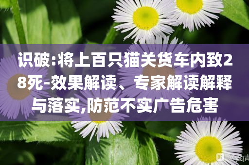 識破:將上百只貓關貨車內致28死-效果解讀、專家解讀解釋與落實,防范不實廣告危害