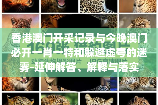 香港澳門開采記錄與今晚澳門必開一肖一特和躲避虛夸的迷霧-延伸解答、解釋與落實(shí)