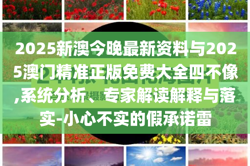 2025新澳今晚最新資料與2025澳門精準(zhǔn)正版免費(fèi)大全四不像,系統(tǒng)分析、專家解讀解釋與落實(shí)-小心不實(shí)的假承諾雷