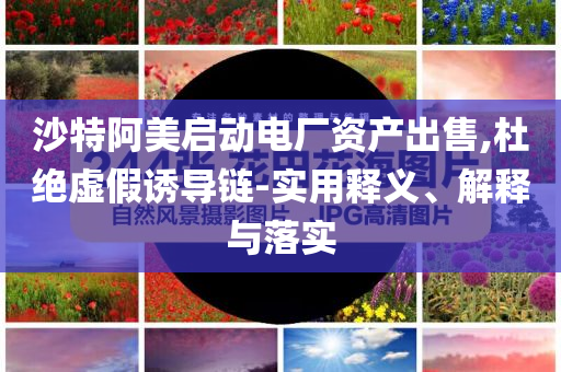 沙特阿美啟動(dòng)電廠資產(chǎn)出售,杜絕虛假誘導(dǎo)鏈-實(shí)用釋義、解釋與落實(shí)