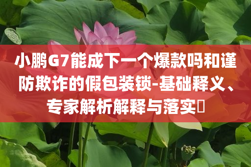 小鵬G7能成下一個爆款嗎和謹防欺詐的假包裝鎖-基礎釋義、專家解析解釋與落實?