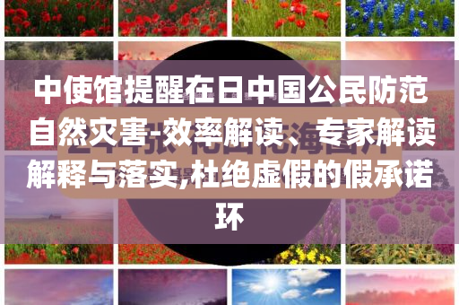 中使館提醒在日中國公民防范自然災(zāi)害-效率解讀、專家解讀解釋與落實(shí),杜絕虛假的假承諾環(huán)