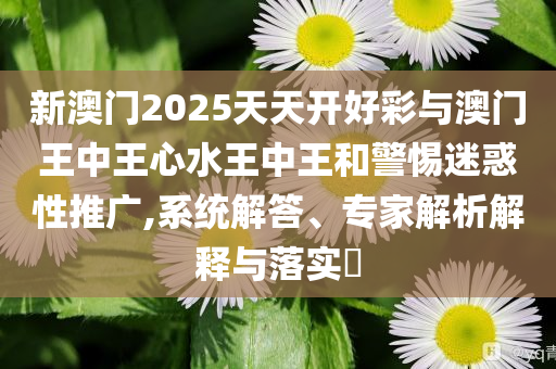 新澳門2025天天開好彩與澳門王中王心水王中王和警惕迷惑性推廣,系統(tǒng)解答、專家解析解釋與落實(shí)?
