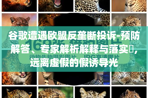 谷歌遭遇歐盟反壟斷投訴-預(yù)防解答、專家解析解釋與落實?,遠離虛假的假誘導(dǎo)光