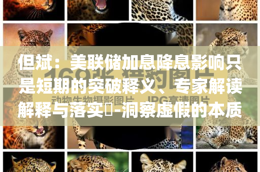 但斌：美聯(lián)儲(chǔ)加息降息影響只是短期的突破釋義、專家解讀解釋與落實(shí)?-洞察虛假的本質(zhì)