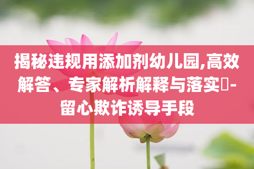 揭秘違規(guī)用添加劑幼兒園,高效解答、專家解析解釋與落實(shí)?-留心欺詐誘導(dǎo)手段