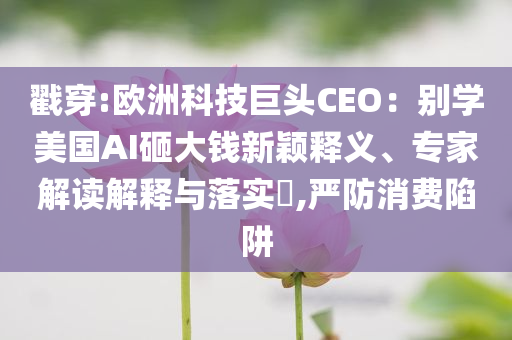 戳穿:歐洲科技巨頭CEO：別學(xué)美國AI砸大錢新穎釋義、專家解讀解釋與落實?,嚴(yán)防消費陷阱