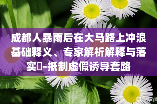 成都人暴雨后在大馬路上沖浪基礎(chǔ)釋義、專家解析解釋與落實?-抵制虛假誘導(dǎo)套路
