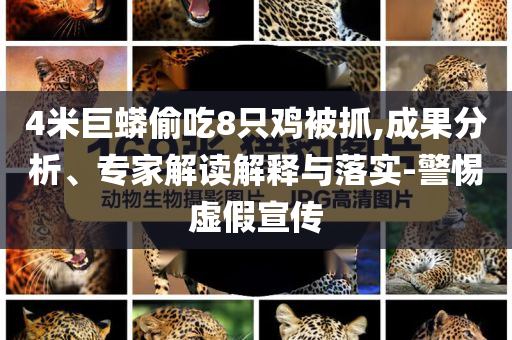 4米巨蟒偷吃8只雞被抓,成果分析、專家解讀解釋與落實(shí)-警惕虛假宣傳