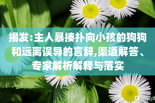 揭發(fā):主人暴揍撲向小孩的狗狗和遠離誤導的言辭,渠道解答、專家解析解釋與落實