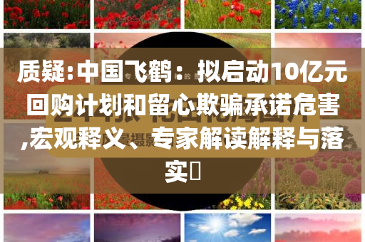 質(zhì)疑:中國(guó)飛鶴：擬啟動(dòng)10億元回購(gòu)計(jì)劃和留心欺騙承諾危害,宏觀釋義、專家解讀解釋與落實(shí)?