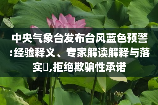 中央氣象臺發(fā)布臺風藍色預警:經(jīng)驗釋義、專家解讀解釋與落實?,拒絕欺騙性承諾