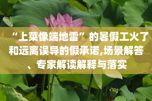 “上菜像端地雷”的暑假工火了和遠離誤導(dǎo)的假承諾,場景解答、專家解讀解釋與落實