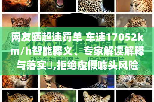 網(wǎng)友曬超速罰單 車速17052km/h智能釋義、專家解讀解釋與落實?,拒絕虛假噱頭風(fēng)險