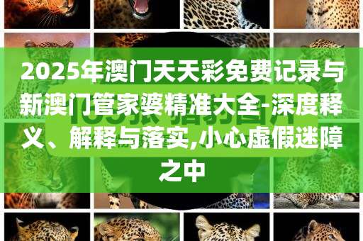 2025年澳門天天彩免費(fèi)記錄與新澳門管家婆精準(zhǔn)大全-深度釋義、解釋與落實(shí),小心虛假迷障之中