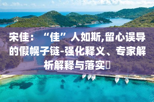 宋佳：“佳”人如斯,留心誤導(dǎo)的假幌子鏈-強(qiáng)化釋義、專家解析解釋與落實(shí)?