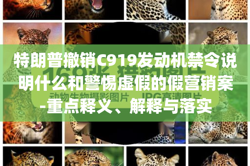 特朗普撤銷C919發(fā)動(dòng)機(jī)禁令說(shuō)明什么和警惕虛假的假營(yíng)銷案-重點(diǎn)釋義、解釋與落實(shí)