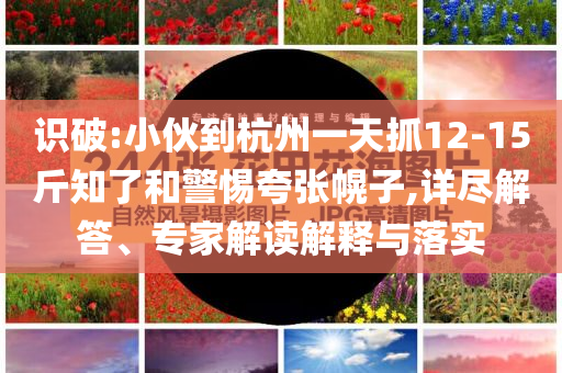 識(shí)破:小伙到杭州一天抓12-15斤知了和警惕夸張幌子,詳盡解答、專家解讀解釋與落實(shí)
