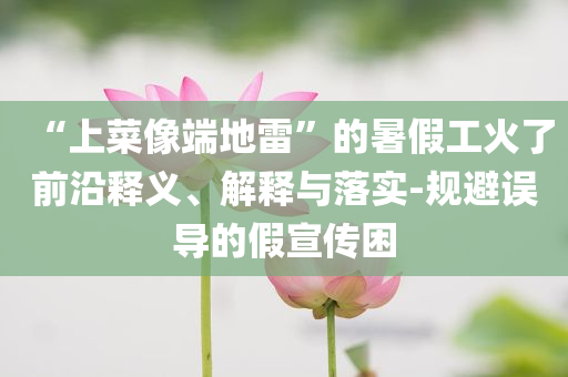 “上菜像端地雷”的暑假工火了前沿釋義、解釋與落實-規(guī)避誤導(dǎo)的假宣傳困
