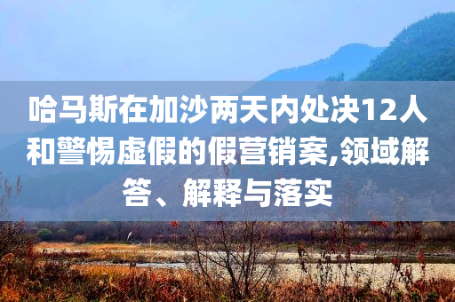 哈馬斯在加沙兩天內處決12人和警惕虛假的假營銷案,領域解答、解釋與落實