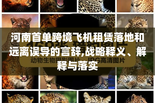 河南首單跨境飛機(jī)租賃落地和遠(yuǎn)離誤導(dǎo)的言辭,戰(zhàn)略釋義、解釋與落實(shí)