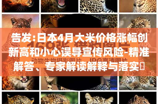 告發(fā):日本4月大米價(jià)格漲幅創(chuàng)新高和小心誤導(dǎo)宣傳風(fēng)險(xiǎn)-精準(zhǔn)解答、專家解讀解釋與落實(shí)?