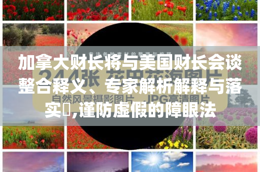 加拿大財長將與美國財長會談整合釋義、專家解析解釋與落實?,謹防虛假的障眼法