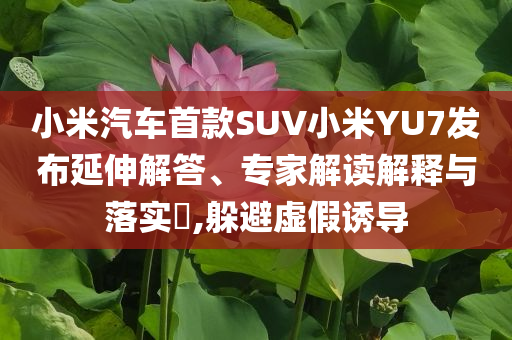 小米汽車(chē)首款SUV小米YU7發(fā)布延伸解答、專家解讀解釋與落實(shí)?,躲避虛假誘導(dǎo)