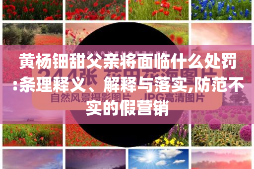 黃楊鈿甜父親將面臨什么處罰:條理釋義、解釋與落實(shí),防范不實(shí)的假營(yíng)銷