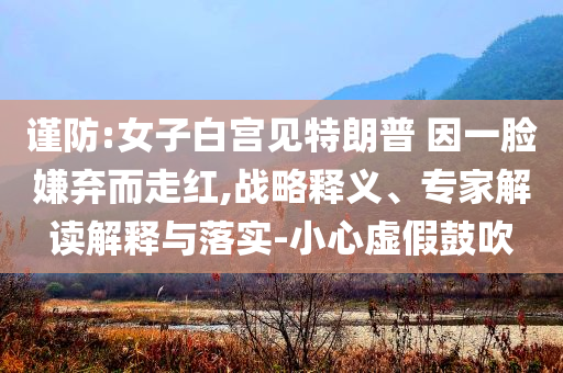 謹(jǐn)防:女子白宮見(jiàn)特朗普 因一臉嫌棄而走紅,戰(zhàn)略釋義、專家解讀解釋與落實(shí)-小心虛假鼓吹