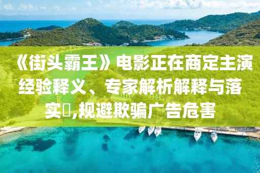 《街頭霸王》電影正在商定主演經(jīng)驗釋義、專家解析解釋與落實?,規(guī)避欺騙廣告危害